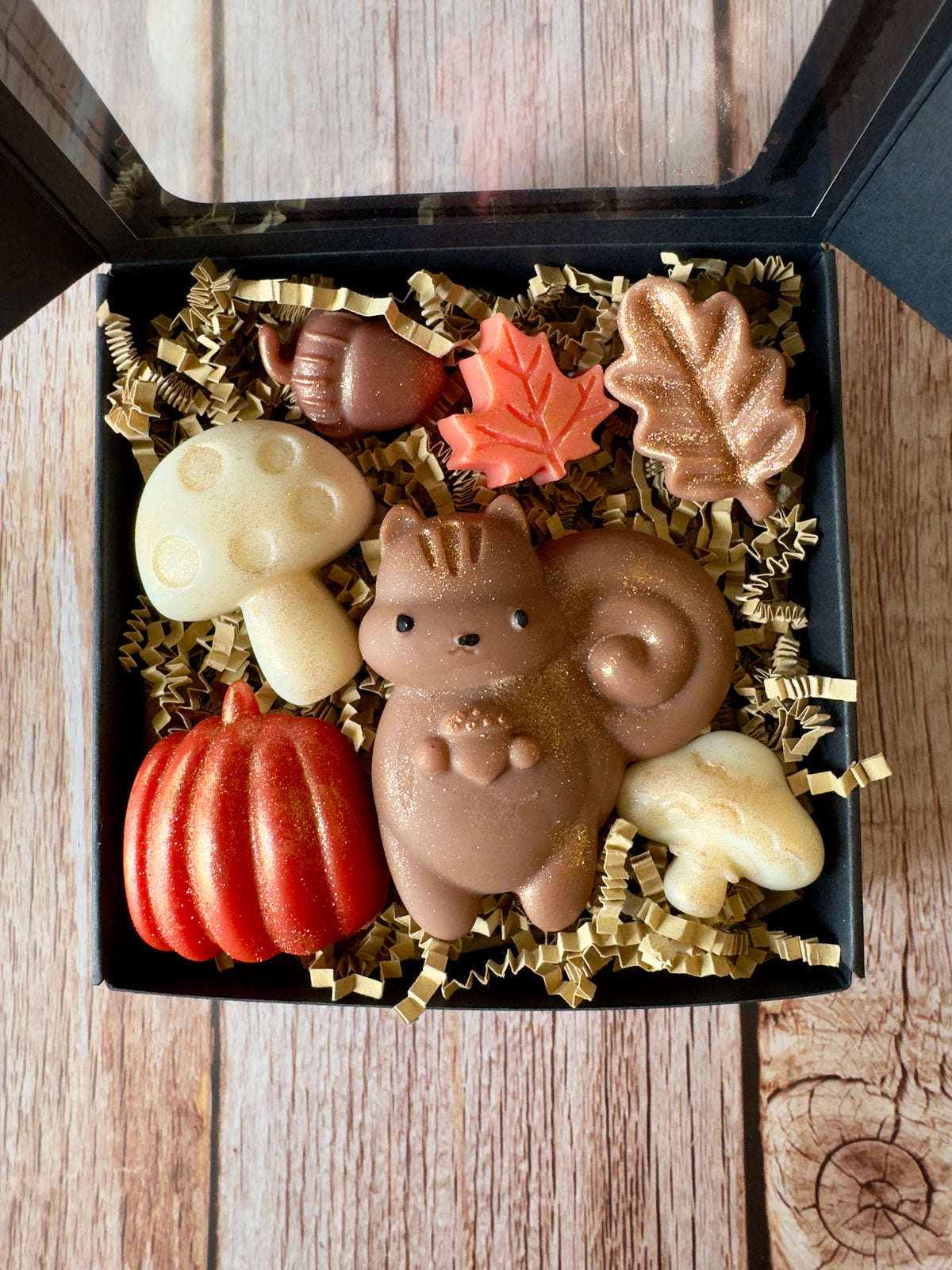 Woodland Critters Wax Melts,    “Squirrel & Harvest”                Black box