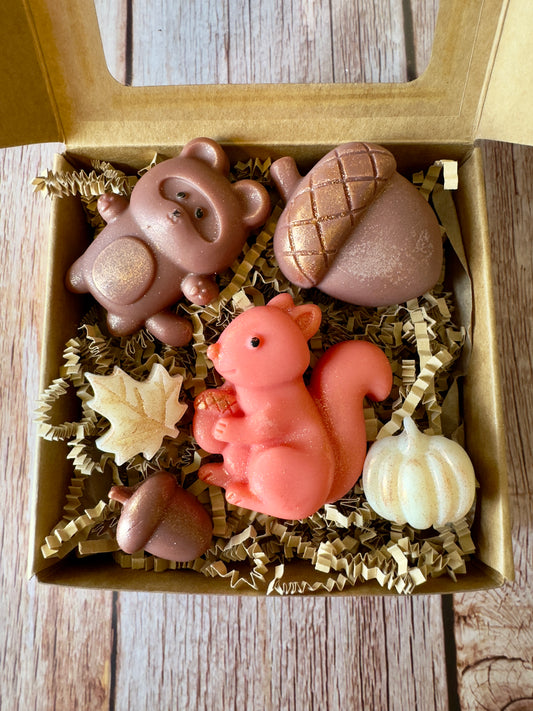 Woodland Critters Wax Melts    “Squirrel & Bear”                         Brown/kraft box