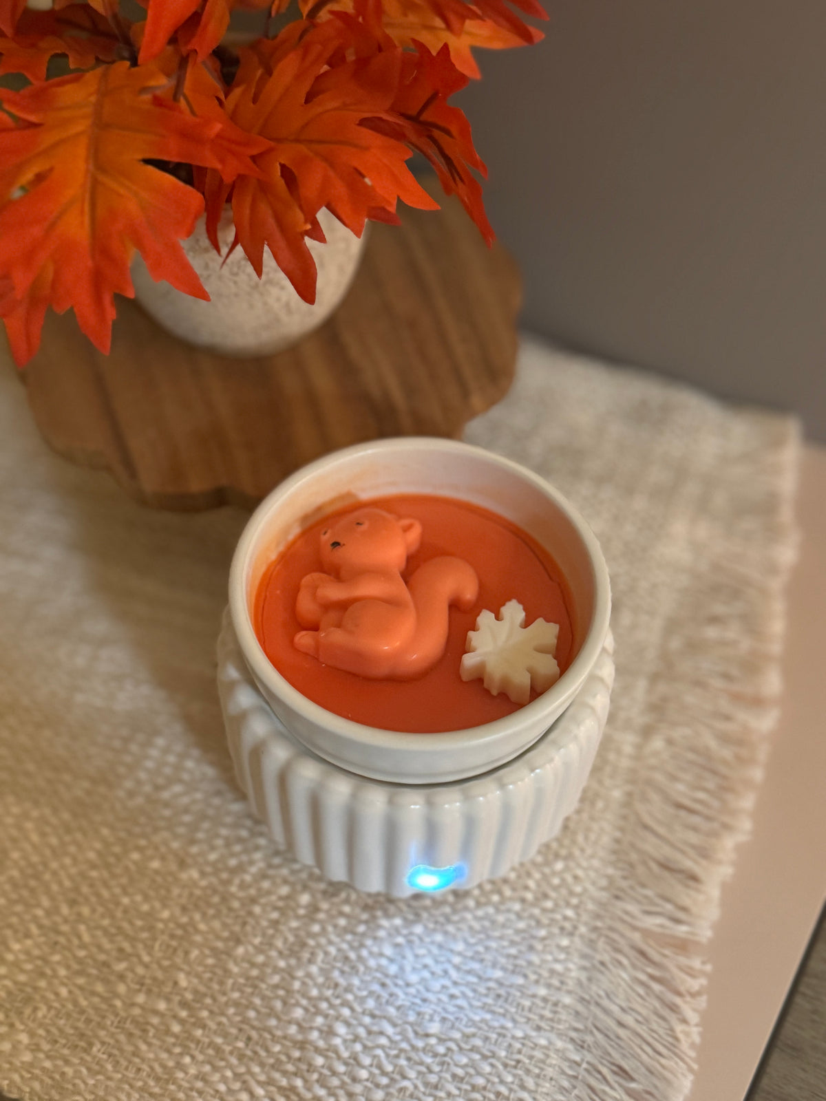 Woodland Critters Wax Melts         “Squirrel & Bear”                          Black Box