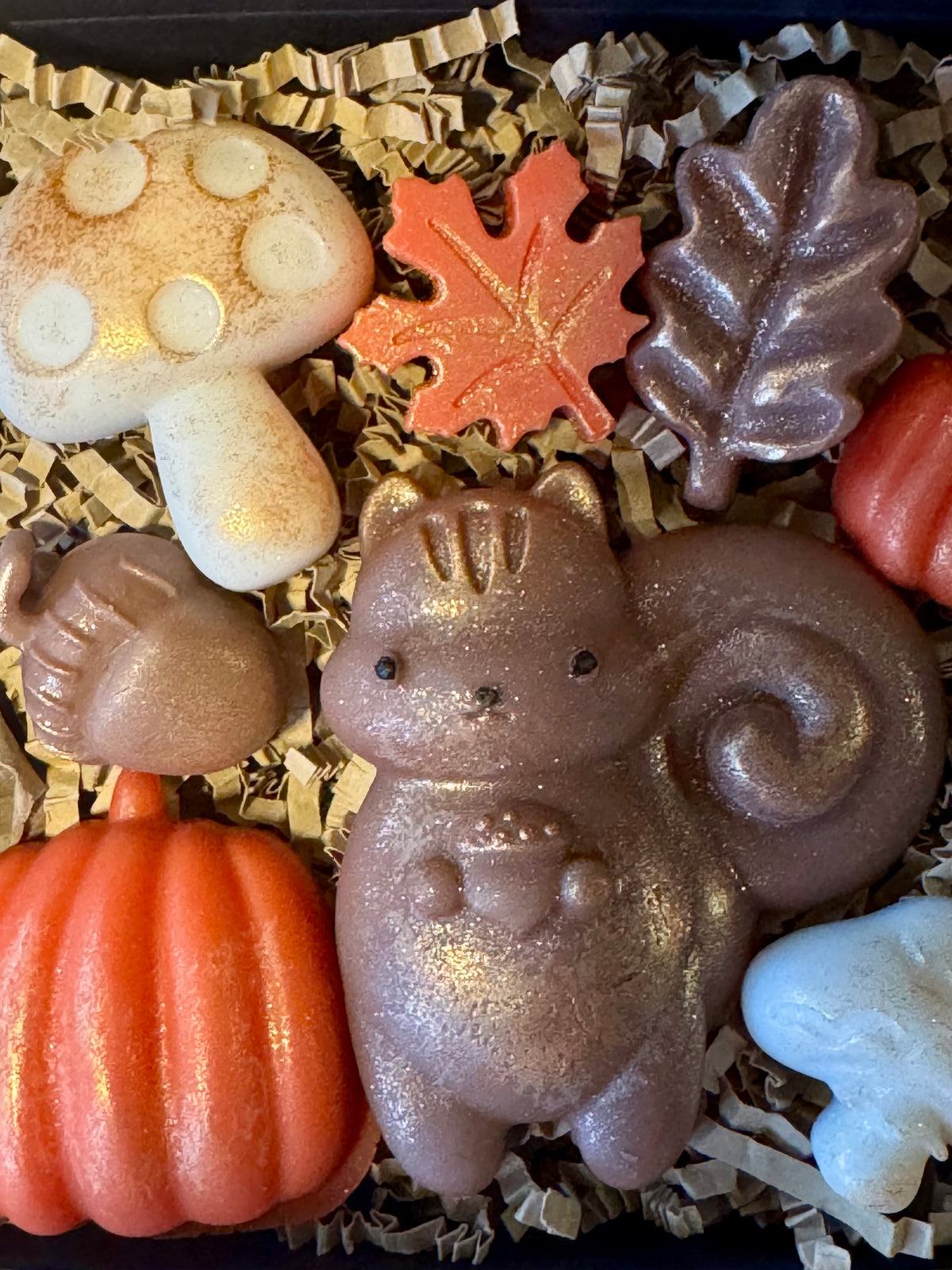 Woodland Critters Wax Melts “Squirrel & Harvest”                   Brown/kraft box