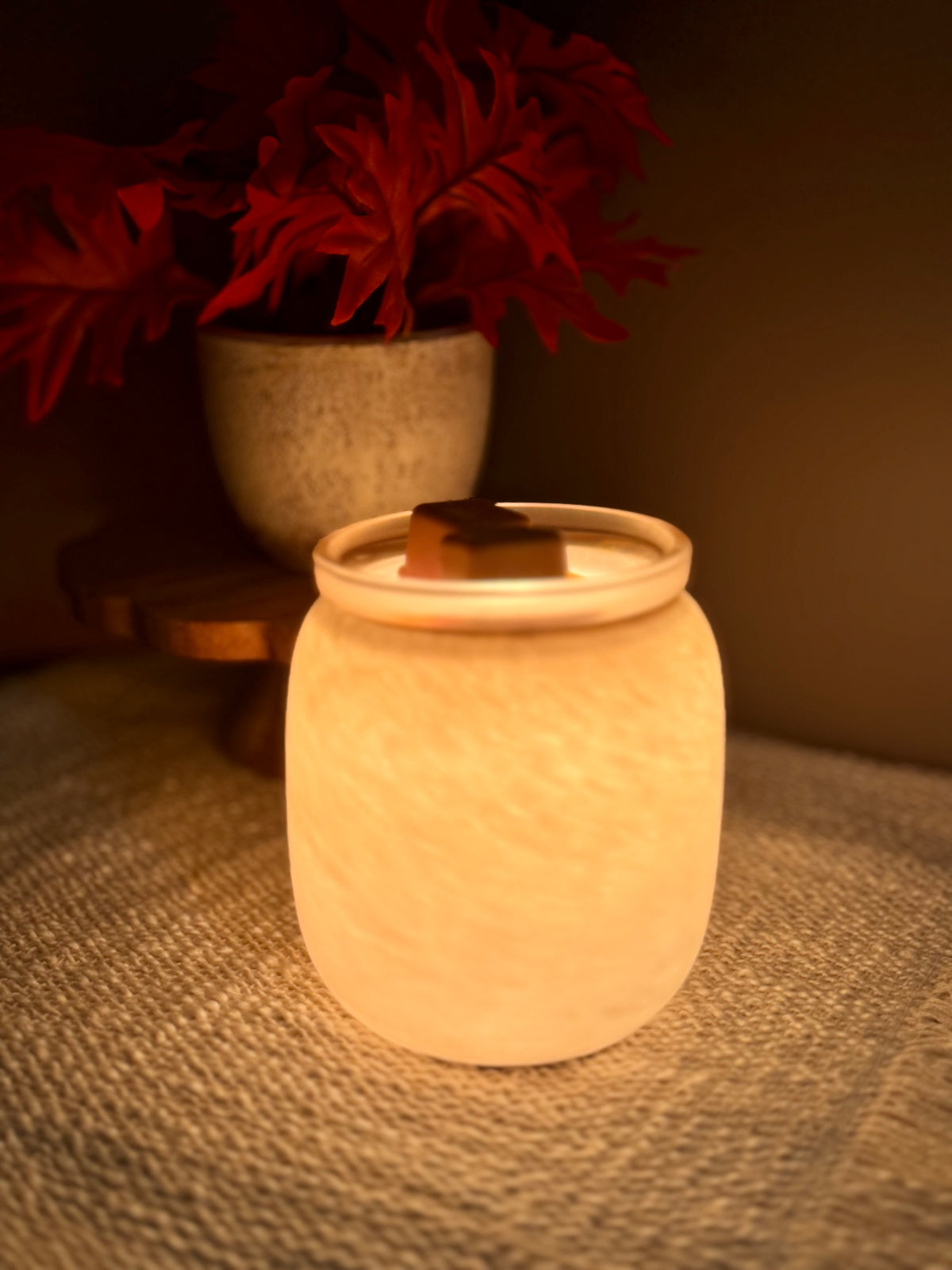 Single Wax Cube                        Eucalyptus Forest