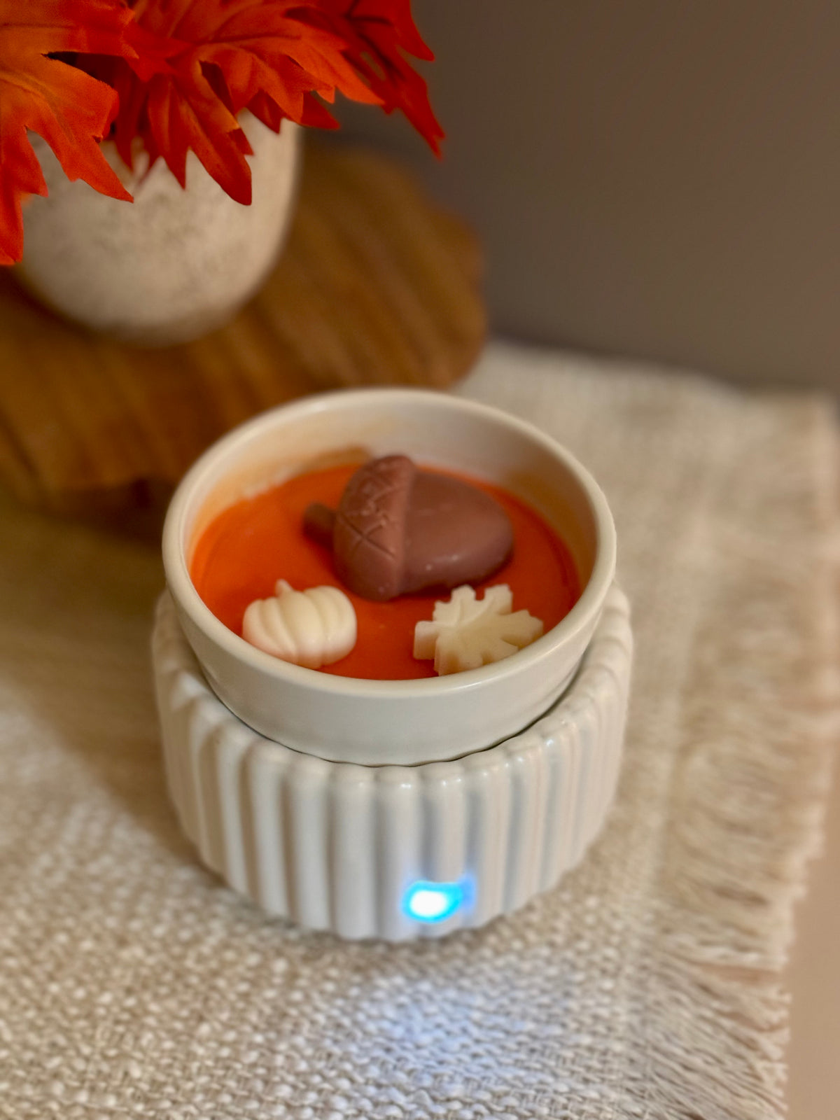 Woodland Critters Wax Melts         “Squirrel & Bear”                          Black Box