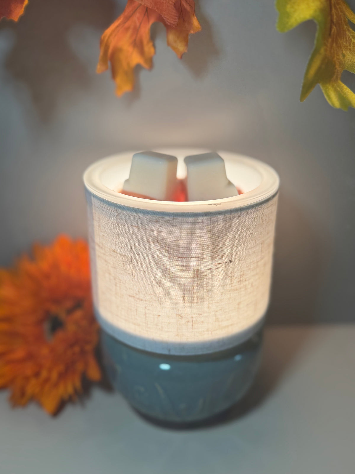 Single Wax Cube             Autumn Simmer
