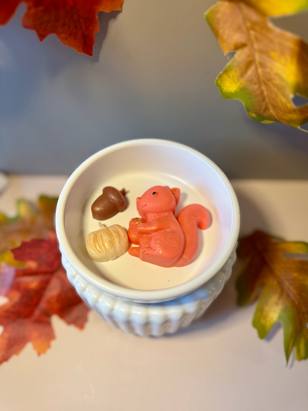 Woodland Critters Wax Melts         “Squirrel & Bear”                          Black Box