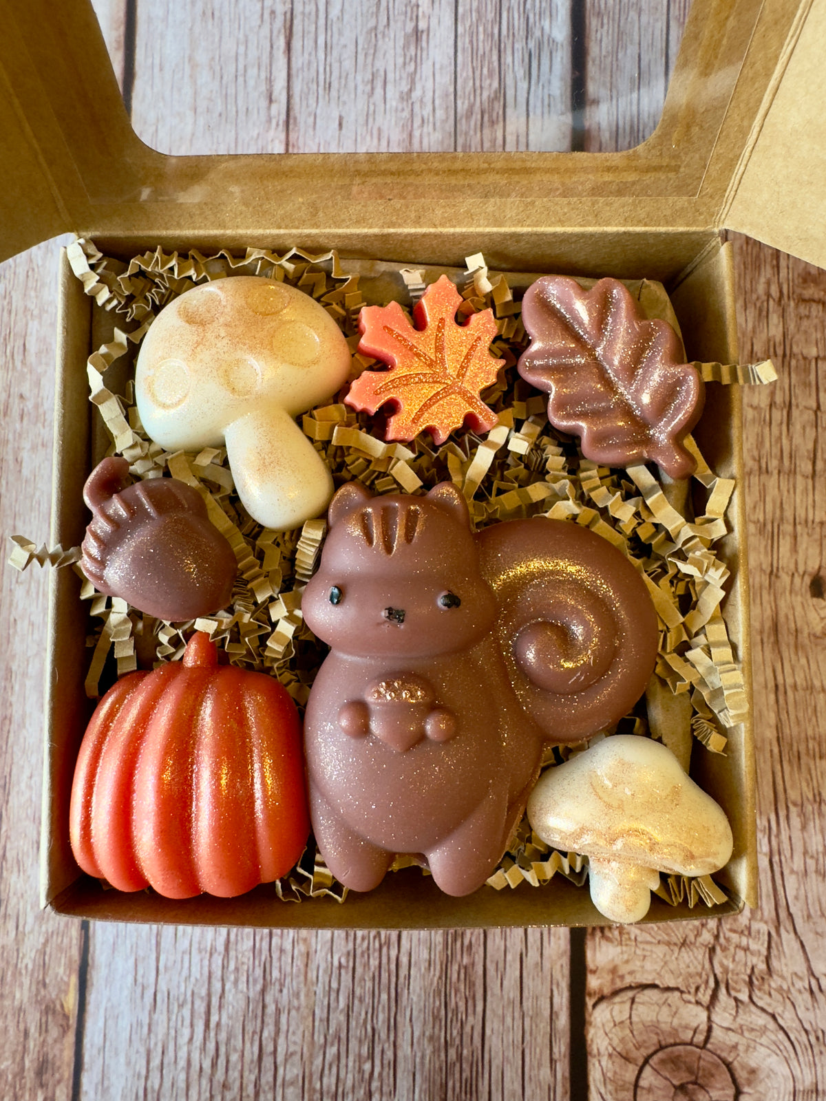 Woodland Critters Wax Melts “Squirrel & Harvest”                   Brown/kraft box